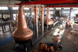 Boben les desea a todos un feliz año nuevo chino