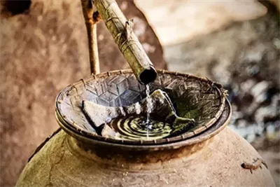 Explorando el mundo del 